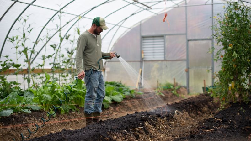 7 Most Profitable Small Farm Ideas In 2024