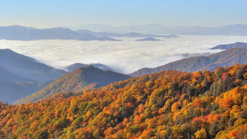 8 Most Beautiful Places In Tennessee, According To Locals