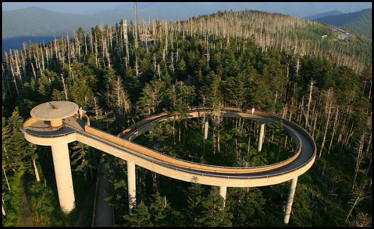 Climb Clingmans Dome