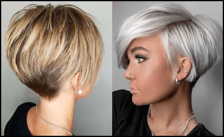 Inverted Pixie Bob