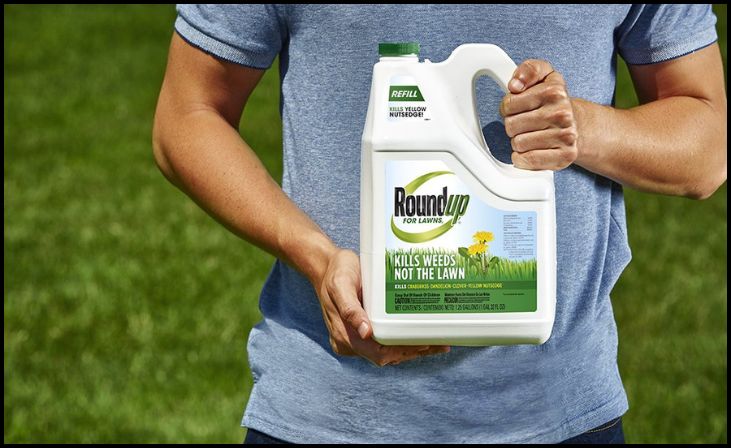 Roundup Concentrate for Lawns Weed Killer