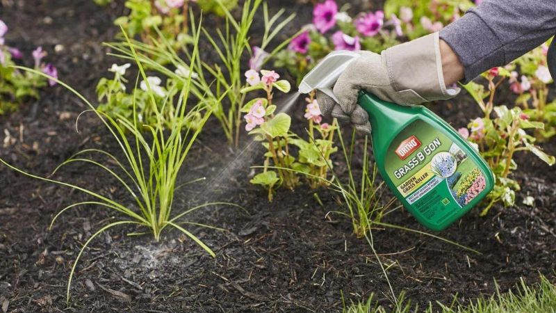 The 8 Best Weed Killers for Destroying Invasive Plants